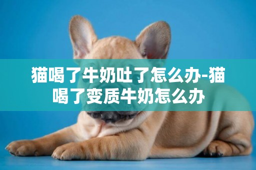 貓喝了牛奶吐了怎么辦-貓喝了變質牛奶怎么辦