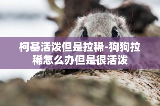 柯基活潑但是拉稀-狗狗拉稀怎么辦但是很活潑