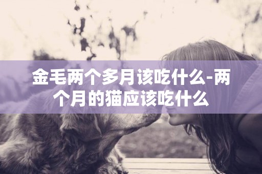 金毛兩個多月該吃什么-兩個月的貓應該吃什么