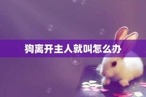 狗離開主人就叫怎么辦