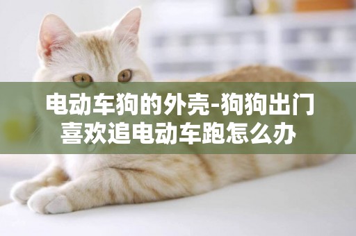 電動車狗的外殼-狗狗出門喜歡追電動車跑怎么辦