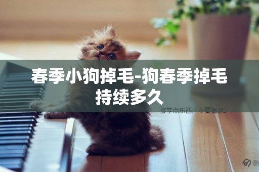 春季小狗掉毛-狗春季掉毛持續多久