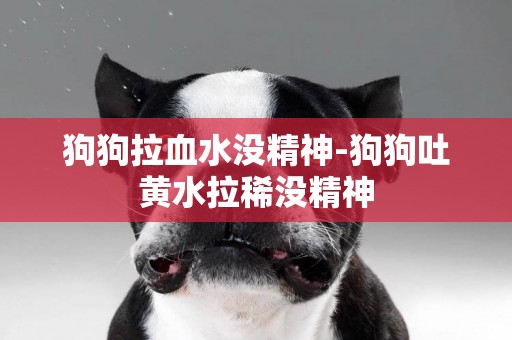 狗狗拉血水沒精神-狗狗吐黃水拉稀沒精神