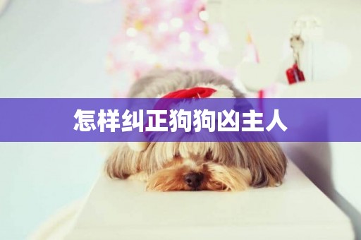 怎樣糾正狗狗兇主人