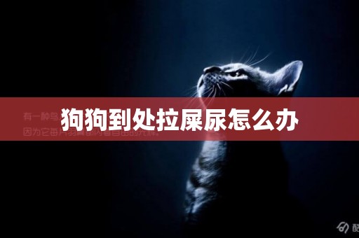 狗狗到處拉屎尿怎么辦
