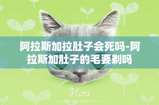 阿拉斯加拉肚子會死嗎-阿拉斯加肚子的毛要剃嗎