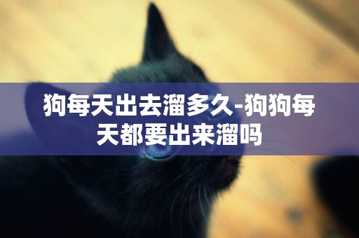 狗每天出去溜多久-狗狗每天都要出來溜嗎