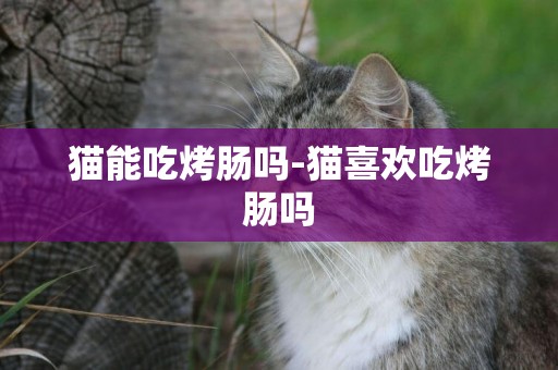 貓能吃烤腸嗎-貓喜歡吃烤腸嗎