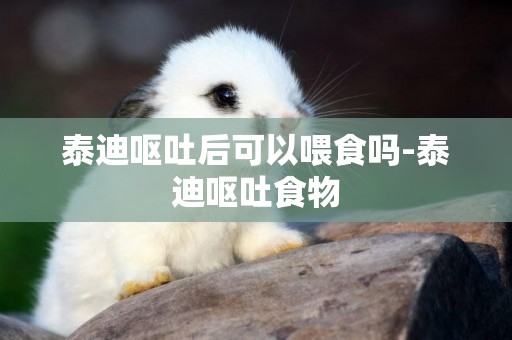 泰迪嘔吐后可以喂食嗎-泰迪嘔吐食物
