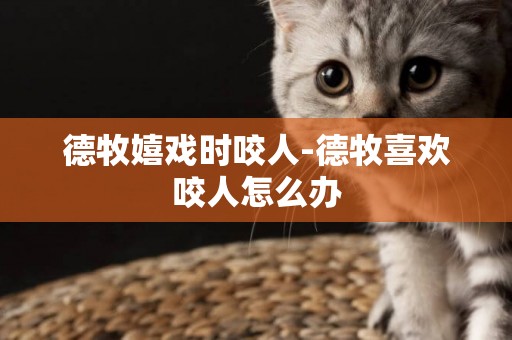 德牧嬉戲時咬人-德牧喜歡咬人怎么辦