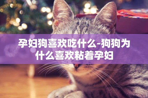 孕婦狗喜歡吃什么-狗狗為什么喜歡粘著孕婦