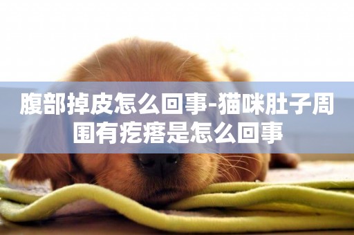 腹部掉皮怎么回事-貓咪肚子周圍有疙瘩是怎么回事