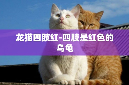 龍貓四肢紅-四肢是紅色的烏龜