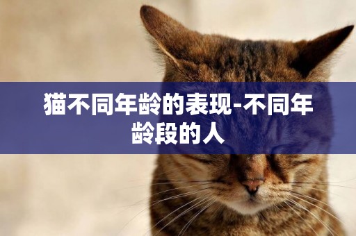 貓不同年齡的表現-不同年齡段的人