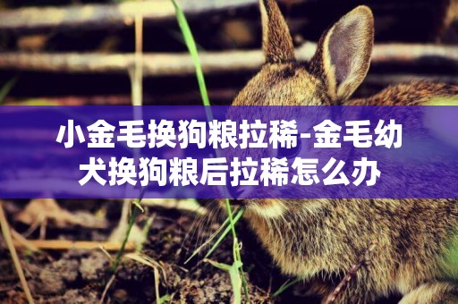 小金毛換狗糧拉稀-金毛幼犬換狗糧后拉稀怎么辦