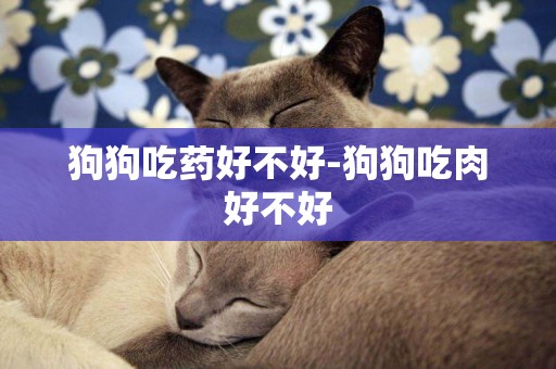 狗狗吃藥好不好-狗狗吃肉好不好