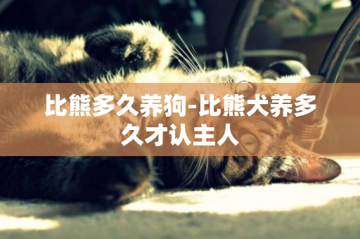 比熊多久養狗-比熊犬養多久才認主人