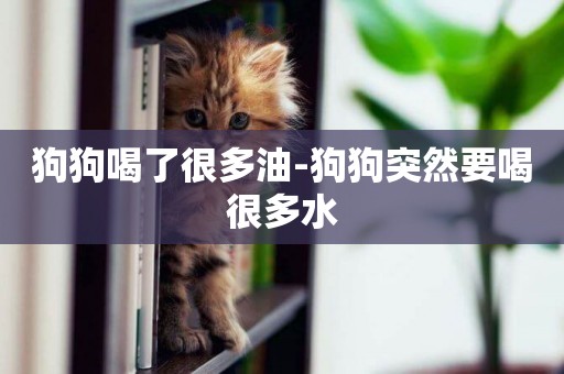 狗狗喝了很多油-狗狗突然要喝很多水