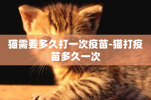 貓需要多久打一次疫苗-貓打疫苗多久一次