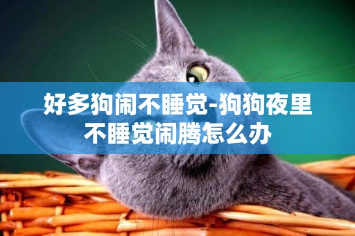 好多狗鬧不睡覺-狗狗夜里不睡覺鬧騰怎么辦