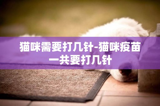 貓咪需要打幾針-貓咪疫苗一共要打幾針
