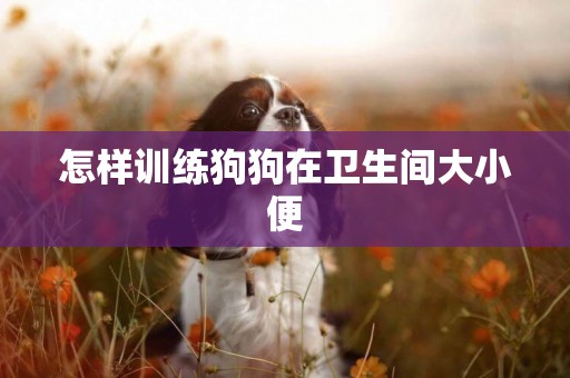 怎樣訓練狗狗在衛生間大小便