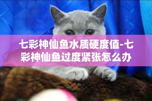 七彩神仙魚水質硬度值-七彩神仙魚過度緊張怎么辦