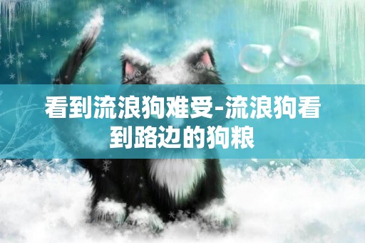 看到流浪狗難受-流浪狗看到路邊的狗糧