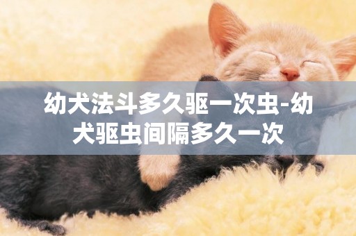 幼犬法斗多久驅一次蟲-幼犬驅蟲間隔多久一次