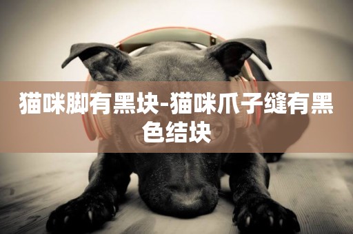 貓咪腳有黑塊-貓咪爪子縫有黑色結塊