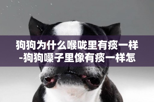 狗狗為什么喉嚨里有痰一樣-狗狗嗓子里像有痰一樣怎么回事