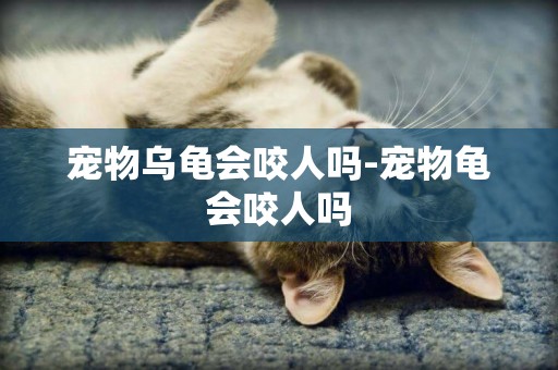 寵物烏龜會咬人嗎-寵物龜會咬人嗎