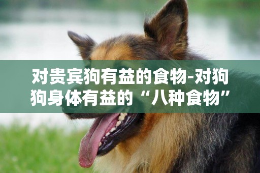 對貴賓狗有益的食物-對狗狗身體有益的“八種食物”