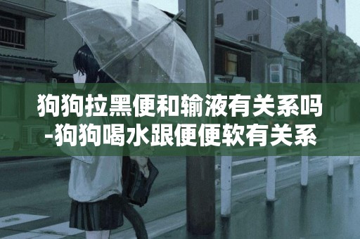 狗狗拉黑便和輸液有關系嗎-狗狗喝水跟便便軟有關系嗎