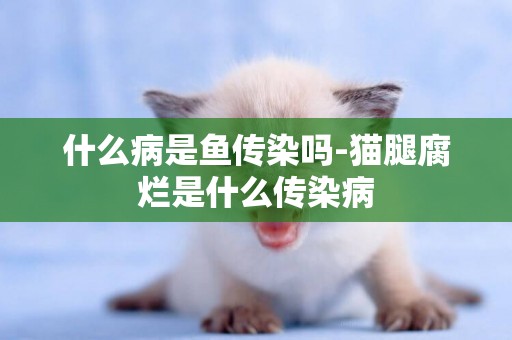 什么病是魚傳染嗎-貓腿腐爛是什么傳染病