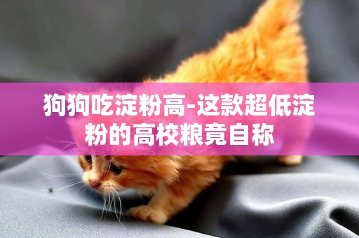 狗狗吃淀粉高-這款超低淀粉的高校糧竟自稱