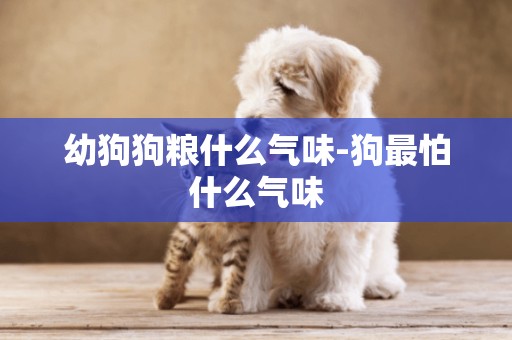 幼狗狗糧什么氣味-狗最怕什么氣味