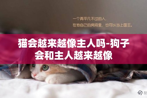 貓會越來越像主人嗎-狗子會和主人越來越像