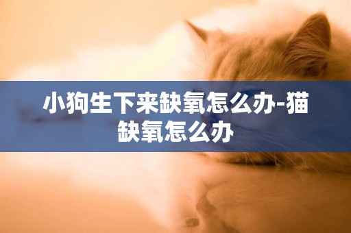 小狗生下來缺氧怎么辦-貓缺氧怎么辦