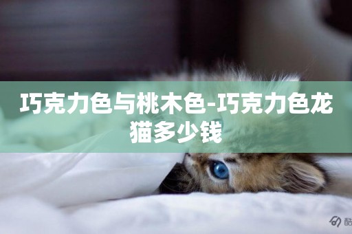 巧克力色與桃木色-巧克力色龍貓多少錢