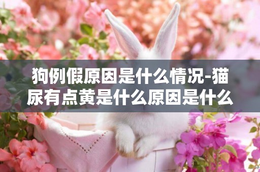 狗例假原因是什么情況-貓尿有點黃是什么原因是什么情況