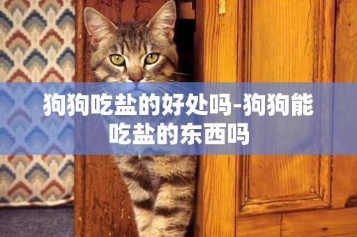 狗狗吃鹽的好處嗎-狗狗能吃鹽的東西嗎