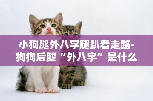 小狗腿外八字腿趴著走路-狗狗后腿“外八字”是什么原因