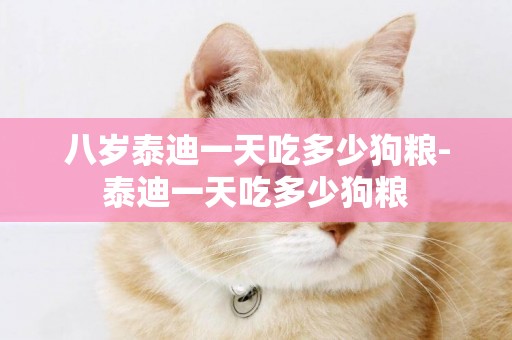 八歲泰迪一天吃多少狗糧-泰迪一天吃多少狗糧