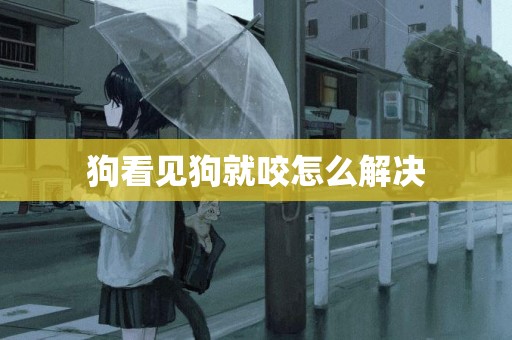 狗看見狗就咬怎么解決