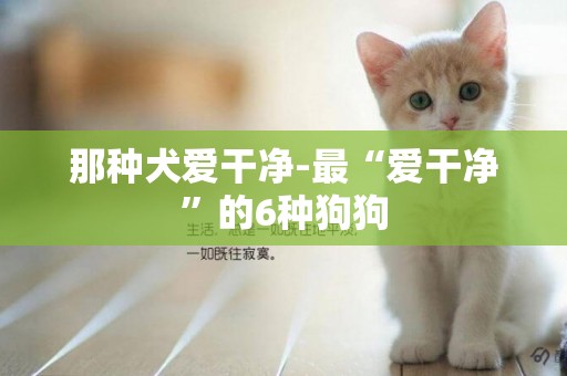 那種犬愛干凈-最“愛干凈”的6種狗狗