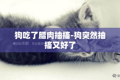 狗吃了臘肉抽搐-狗突然抽搐又好了