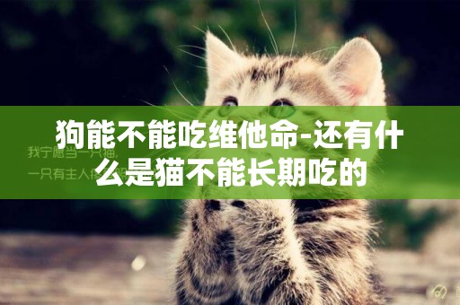 狗能不能吃維他命-還有什么是貓不能長期吃的