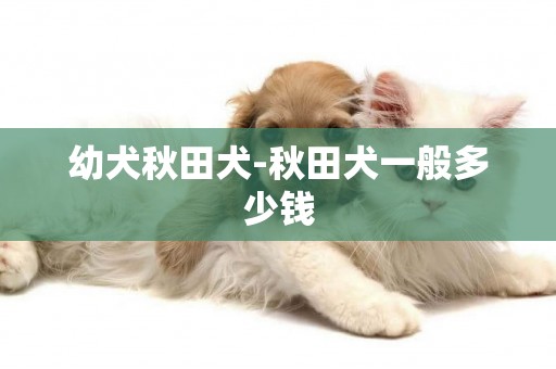 幼犬秋田犬-秋田犬一般多少錢