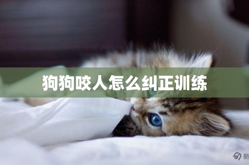 狗狗咬人怎么糾正訓練